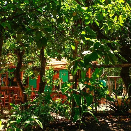Croa La Rana Hotel Yacanto Exterior foto